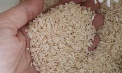 برنج عنبر بو با برنج شمال چه تفاوتی دارد؟